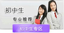 初中生学电脑什么专业适合
